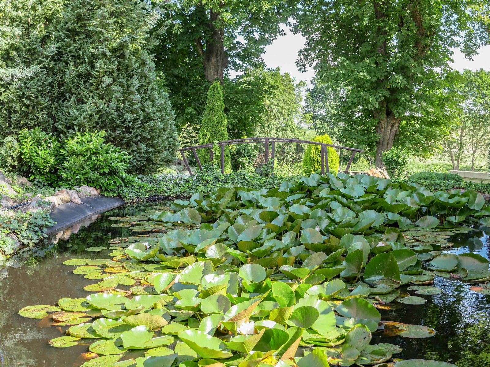 Teich im Park